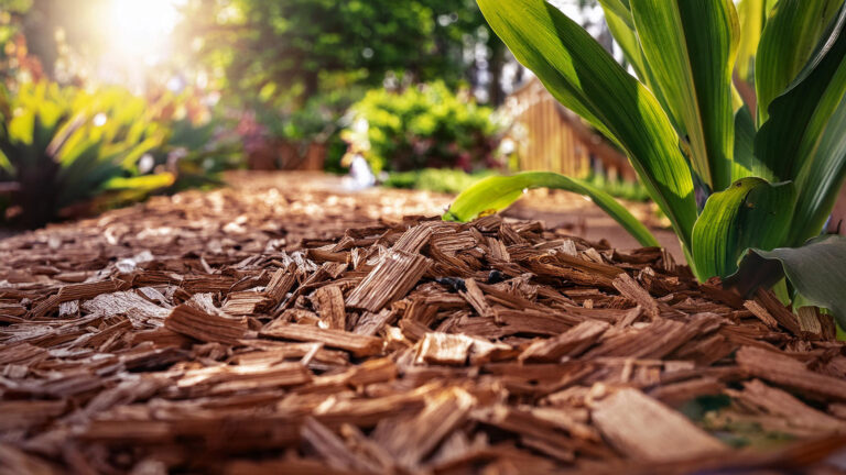 Rindenmulch kaufen in Herzebrock-Clarholz